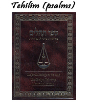 Tehilim (Psalms)